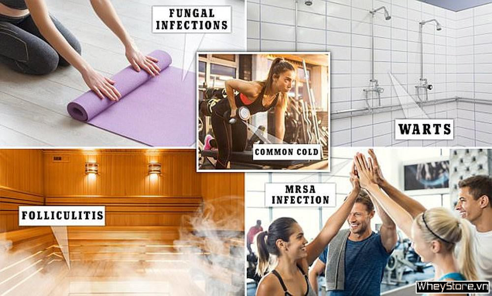 588 Catalog 4 Cach Phong Tranh Bi Lay Nhiem Vi Khuan Trong Phong Tap Gym Main 1587725711
