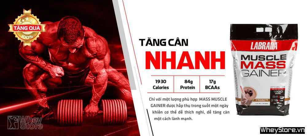 816 Catalog   Anh Gia Sua Tang Can Muscle Mass Gainer Main 1587725805