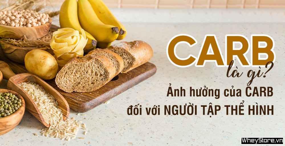 Upl Carb La Gi     Nh Huong Cua Carb Doi Voi Nguoi Tap The Hinh 1608111380 Image 1608111380
