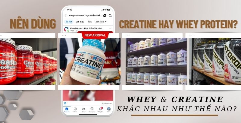 Whey Protein Va Creatine Khac Nhau Nhu The Nao 1717465546