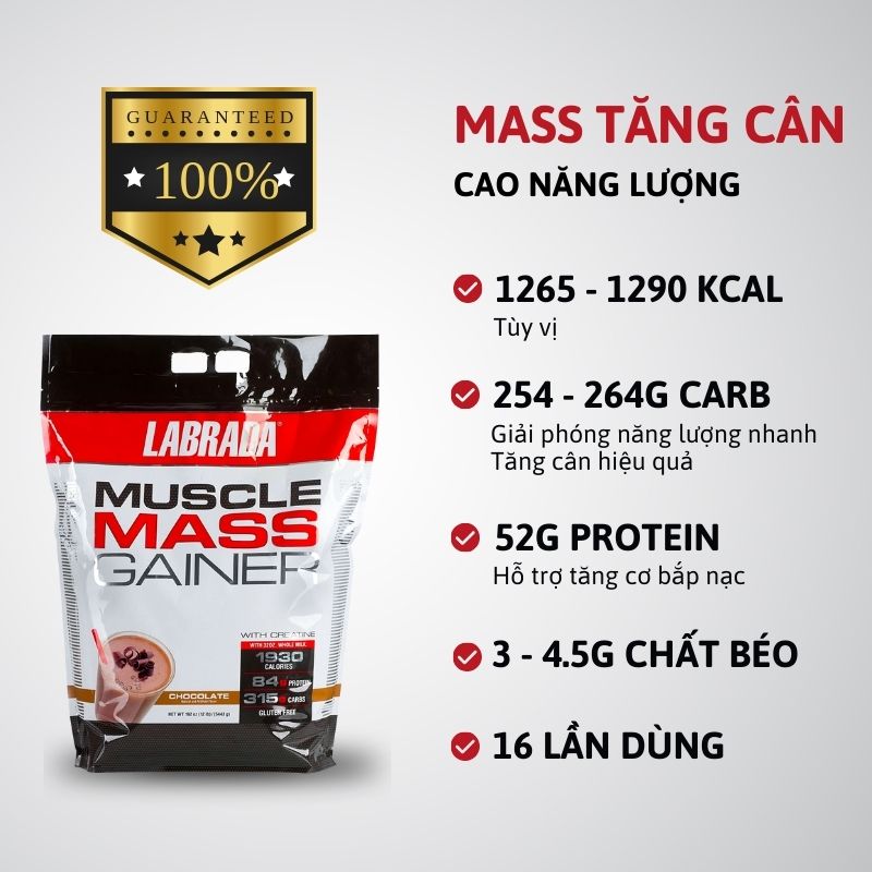 Inforgraphic Muscle Mass Gainer 12lbs 1702548078