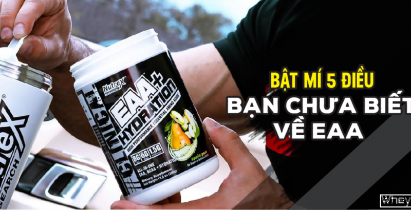 EAA là gì? Bật mí 5 điều bạn chưa biết về EAA – BCAA nâng cấp