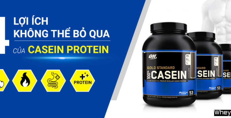 4 lợi ích không thể bỏ qua của Casein Protein