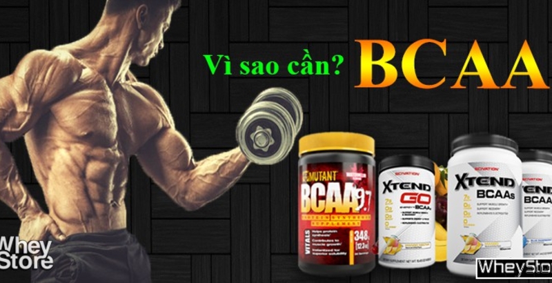 Vì sao cần BCAA trong quá trình tập Gym tăng cơ?