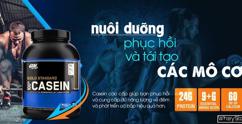 Top các loại Casein dưỡng cơ ban đêm tốt