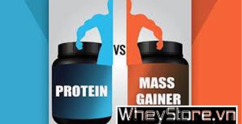 So sánh sự khác nhau giữa Whey Protein và Mass Gainer