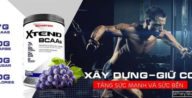 Đánh giá Scivation Xtend BCAA – Ông vua trong làng BCAA