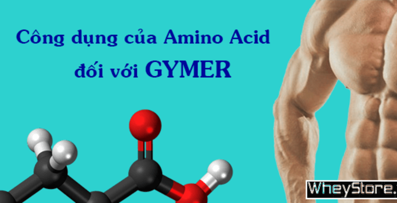 Công dụng của Amino Acid đối với người tập thể hình là gì?