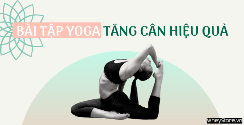 12 bài tập yoga tăng cân lấy lại vóc dáng cân đối khỏe mạnh