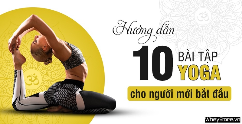Top 10 bài tập Yoga cho người mới bắt đầu tại nhà chi tiết nhất