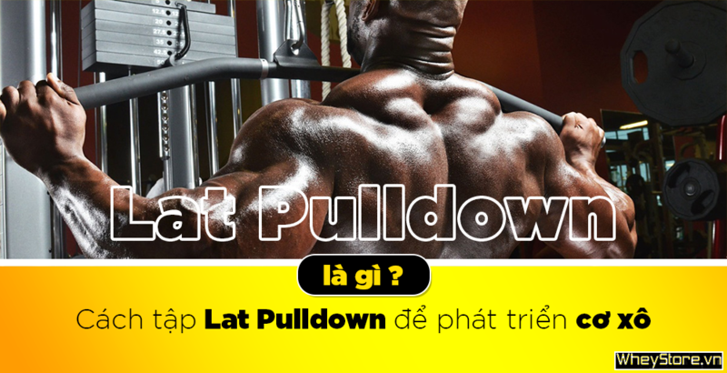 Lat Pulldown là gì? Cách tập Lat Pulldown để phát triển cơ xô