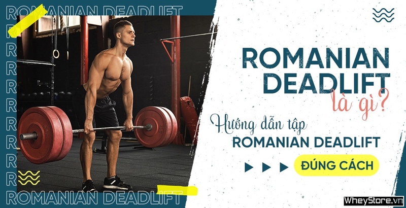 Romanian Deadlift là gì? Hướng dẫn tập Romanian Deadlift đúng cách