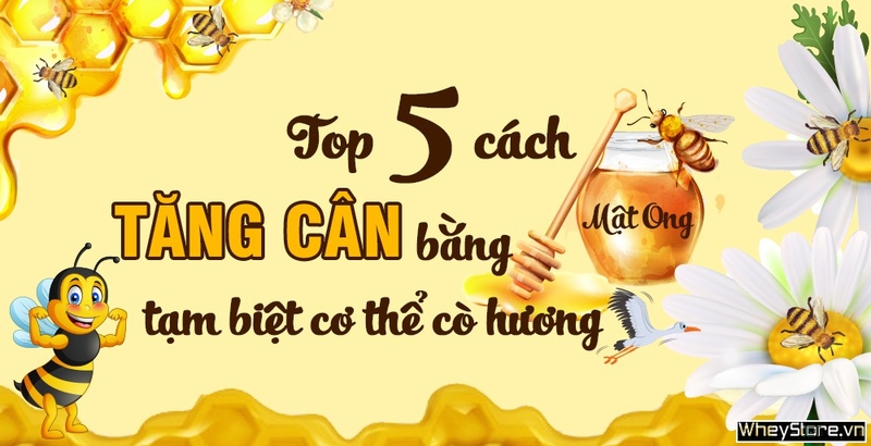 Top 5 cách tăng cân bằng mật ong tạm biệt cơ thể cò hương
