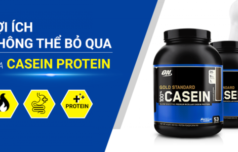 4 lợi ích không thể bỏ qua của Casein Protein