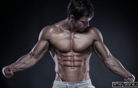 Sự khác nhau giữa BCAA và Amino Acid - Cách Sử Dụng Tối Ưu