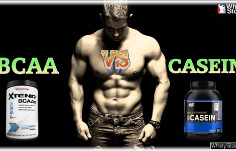 Nên dùng Casein hay BCAA để hỗ trợ phục hồi cơ