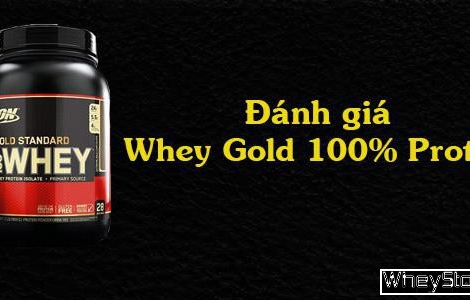 Đánh giá Whey Gold Standard 100% Protein của Optimum Nutrition