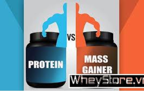 So sánh sự khác nhau giữa Whey Protein và Mass Gainer