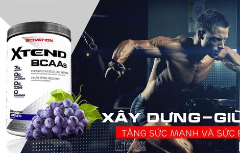 Đánh giá Scivation Xtend BCAA – Ông vua trong làng BCAA