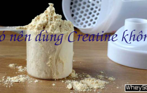 Có nên dùng Creatine trong tập luyện thể hình không?