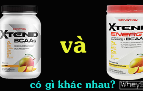 Xtend BCAA và Xtend BCAA Energy có gì khác nhau?