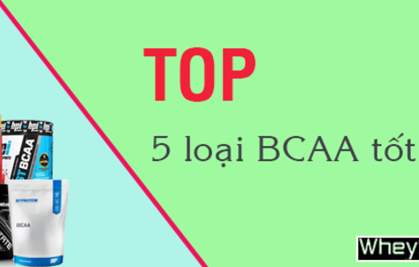Top 5 loại BCAA tốt nhất hiện nay được ưa chuộng nhất