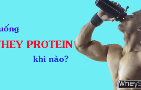 Nên uống Whey Protein khi nào thì tốt nhất? Trước hay sau khi tập