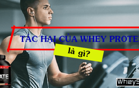 Tác hại của Whey Protein là gì?