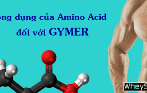Công dụng của Amino Acid đối với người tập thể hình là gì?