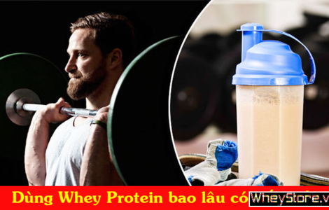 Dùng Whey Protein được bao lâu thì có kết quả?