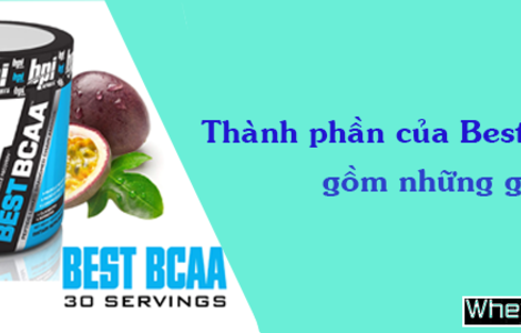 Thành phần Best BCAA bao gồm những gì?