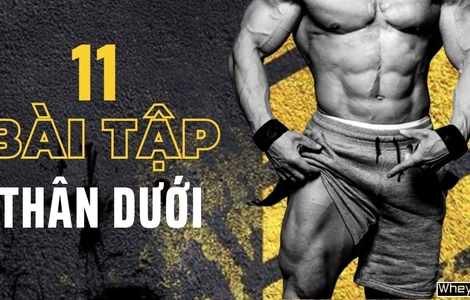 11 bài tập thân dưới tốt nhất dễ dàng cho người mới bắt đầu