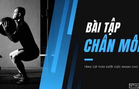 12 bài tập chân mông tăng cơ thân dưới cực nhanh cho gymer