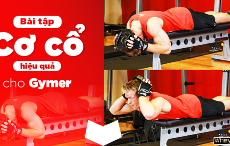 5 bài tập cơ cổ hiệu quả cho Gymer giúp phát triển toàn diện