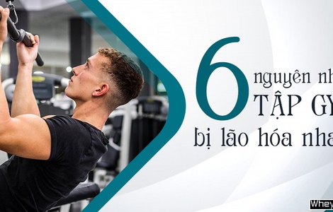 Tập Gym nhưng vẫn bị lão hóa nhanh? Nguyên nhân vì sao?
