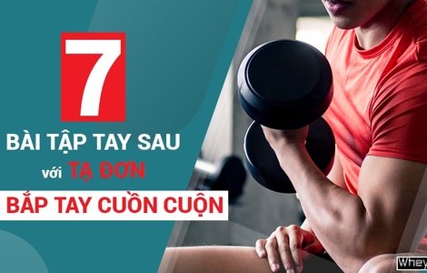 7 bài tập tay sau với tạ đơn cho bắp tay cuồn cuộn
