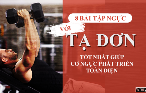 8 bài tập ngực với tạ đơn tốt nhất giúp cơ ngực phát triển toàn diện