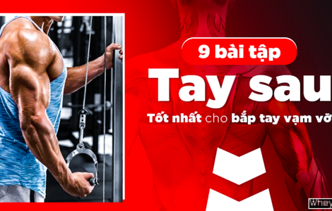 9 bài tập tay sau tốt nhất cho bắp tay vạm vỡ, đầy sức mạnh