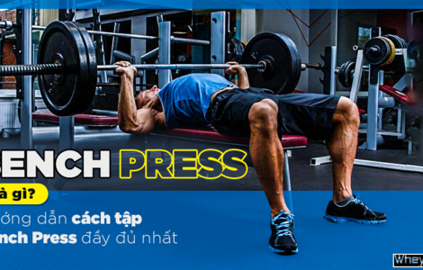 Bench Press là gì? Hướng dẫn cách tập Bench Press đầy đủ nhất