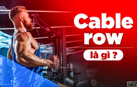 Cable row là gì? 6 bài tập Cable row cực hiệu quả cho nam