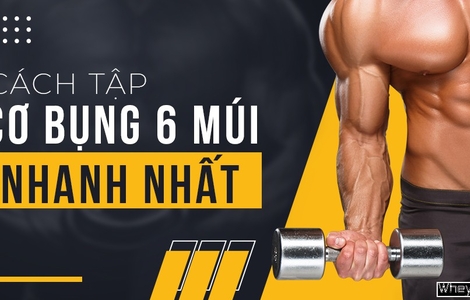 Top 6 bài tập cơ bụng 6 múi tại nhà nhanh nhất để có cơ bụng sexy