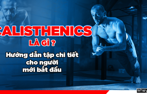 Calisthenics là gì? 7 bài tập Calisthenics cho người mới bắt đầu