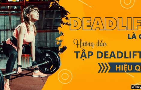 Deadlift là gì? Hướng dẫn tập deadlift đúng cách, hiệu quả nhất