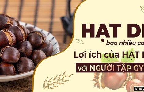 Hạt dẻ bao nhiêu calo? Lợi ích của hạt dẻ với người tập gym
