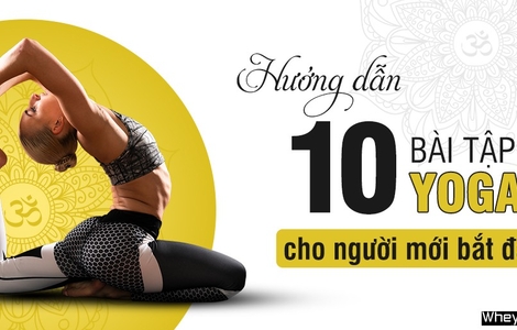 Top 10 bài tập Yoga cho người mới bắt đầu tại nhà chi tiết nhất