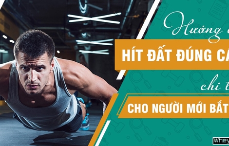 Hướng dẫn cách hít đất đúng cách đúng kỹ thuật hiệu quả nhất