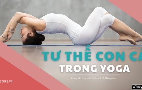 Hướng dẫn tập tư thế con cá trong yoga chuẩn nhất nhiều cấp độ