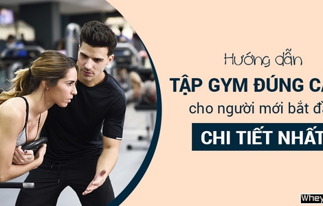 Hướng dẫn tập Gym đúng cách cho người mới bắt đầu chi tiết nhất