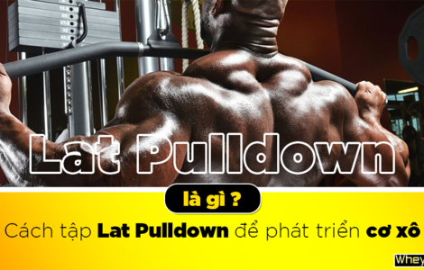 Lat Pulldown là gì? Cách tập Lat Pulldown để phát triển cơ xô
