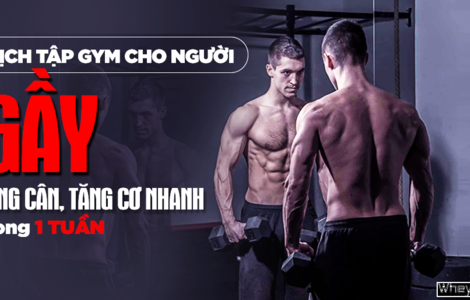 Lịch tập Gym cho người gầy tăng cân, tăng cơ nhanh trong 1 tuần